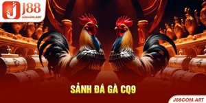 Sảnh đá gà CQ9