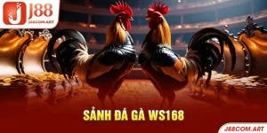 Sảnh đá gà ws168